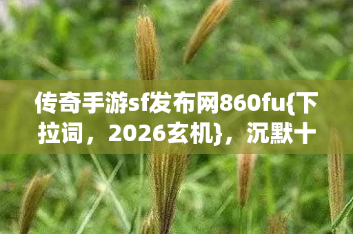 传奇手游sf发布网860fu{下拉词，2026玄机}，沉默十年再掀热潮