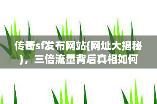 传奇sf发布网站{网址大揭秘},三倍流量背后真相如何? 传奇sf发布网站{网址大揭秘},三倍流量背后真相如何?