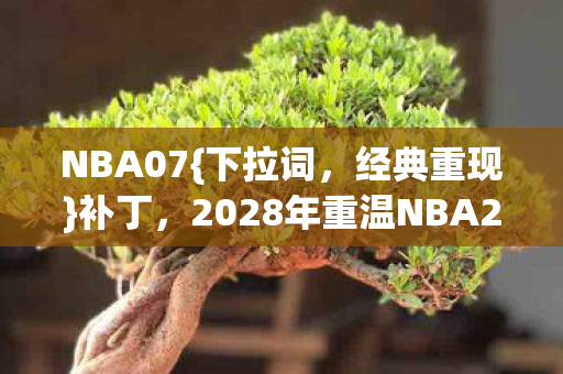 NBA07{下拉词，经典重现}补丁，2028年重温NBA2008旧梦