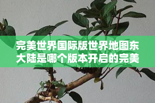 完美世界国际版世界地图东大陆是哪个版本开启的完美世界国际版世界地图图片