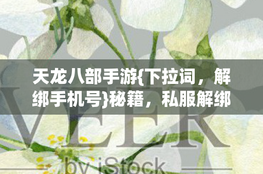 私服解绑身份证玄机揭秘图片