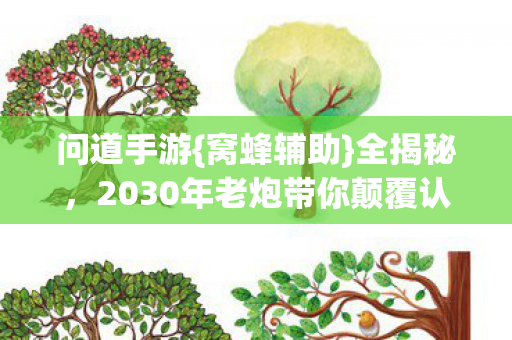 问道手游{窝蜂辅助}全揭秘，2030年老炮带你颠覆认知！