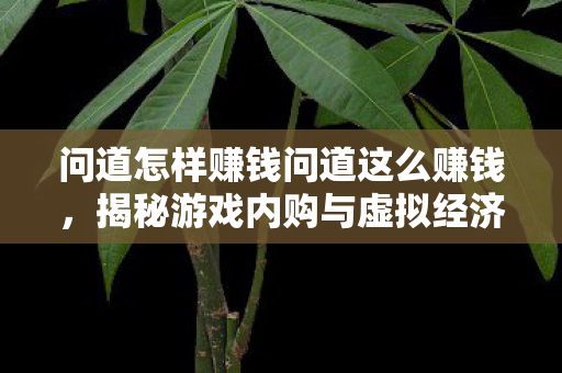 问道怎样赚钱问道这么赚钱,揭秘游戏内购与虚拟经济的盈利奥秘,揭秘问道游戏内购与虚拟经济的盈利奥秘 问道怎样赚钱问道这么赚钱,揭秘游戏内购与虚拟经济的盈利奥秘,揭秘问道游戏内购与虚拟经济的盈利奥秘