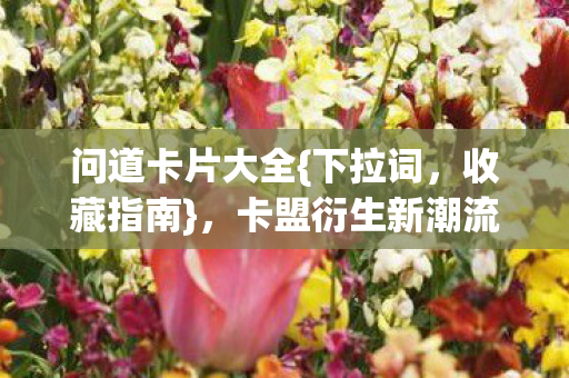 问道卡片大全{下拉词，收藏指南}，卡盟衍生新潮流来袭！