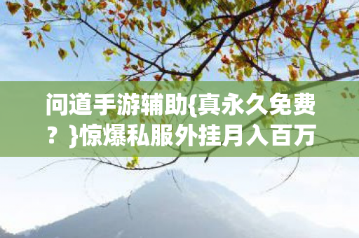 问道手游辅助{真永久免费?}惊爆私服外挂月入百万隐情 问道手游辅助{真永久免费?}惊爆私服外挂月入百万隐情