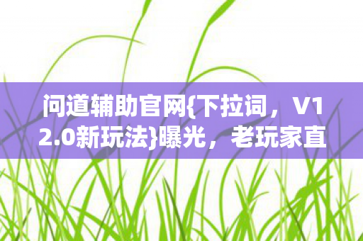 问道辅助官网{下拉词，V12.0新玩法}曝光，老玩家直呼上头