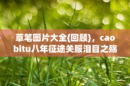 草笔图片大全{回顾},caobitu八年征途关服泪目之殇 草笔图片大全{回顾},caobitu八年征途关服泪目之殇