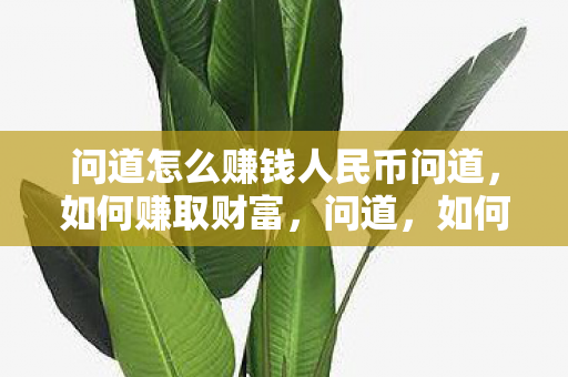 问道怎么赚钱人民币问道,如何赚取财富,问道,如何赚取财富 问道怎么赚钱人民币问道,如何赚取财富,问道,如何赚取财富