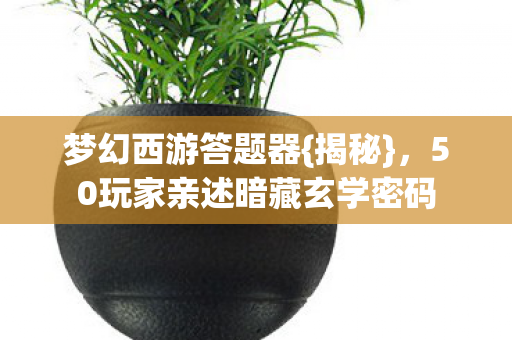 梦幻西游答题器{揭秘},50玩家亲述暗藏玄学密码 梦幻西游答题器{揭秘},50玩家亲述暗藏玄学密码