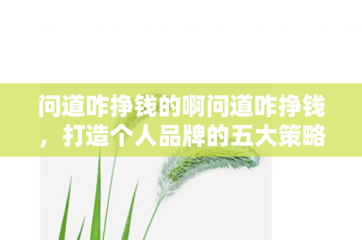 问道咋挣钱的啊问道咋挣钱，打造个人品牌的五大策略，打造个人品牌的五大策略，问道如何挣钱