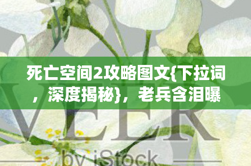 死亡空间2攻略图文{下拉词,深度揭秘},老兵含泪曝最后救赎 死亡空间2攻略图文{下拉词,深度揭秘},老兵含泪曝最后救赎