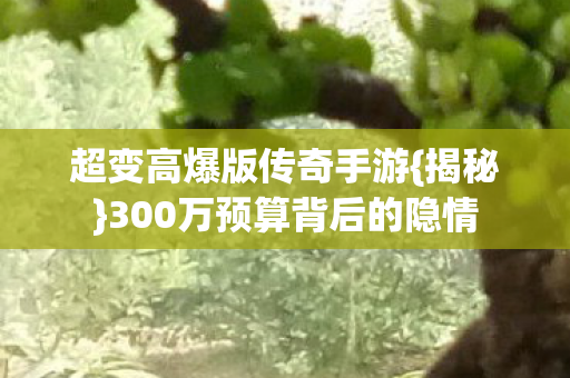 超变高爆版传奇手游{揭秘}300万预算背后的隐情 超变高爆版传奇手游{揭秘}300万预算背后的隐情