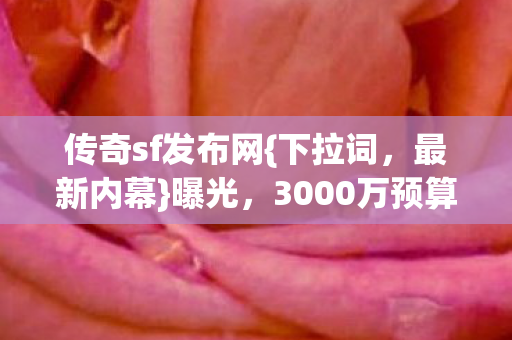 传奇sf发布网{下拉词，最新内幕}曝光，3000万预算真相揭秘！