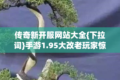 传奇新开服网站大全{下拉词}手游1.95大改老玩家惊叹 传奇新开服网站大全{下拉词}手游1.95大改老玩家惊叹