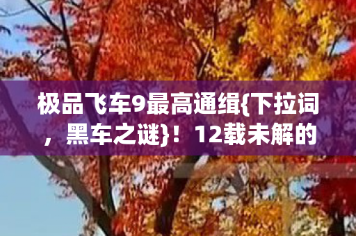 极品飞车9最高通缉{下拉词,黑车之谜}!12载未解的秘密 极品飞车9最高通缉{下拉词,黑车之谜}!12载未解的秘密