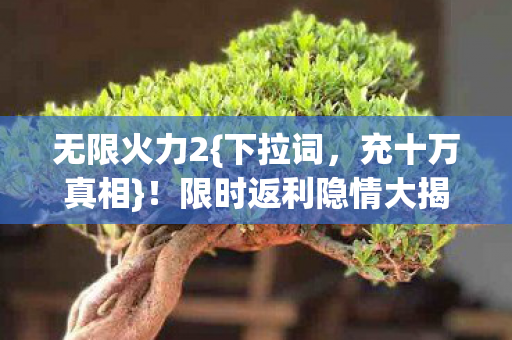 无限火力2{下拉词,充十万真相}!限时返利隐情大揭秘 无限火力2{下拉词,充十万真相}!限时返利隐情大揭秘