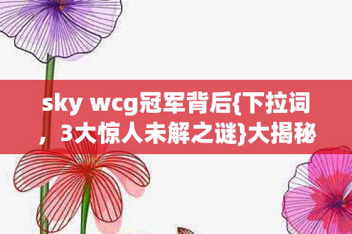 sky wcg冠军背后{下拉词，3大惊人未解之谜}大揭秘！