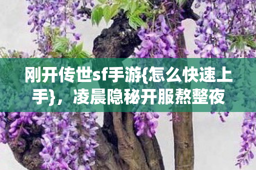 凌晨隐秘开服熬整夜图片