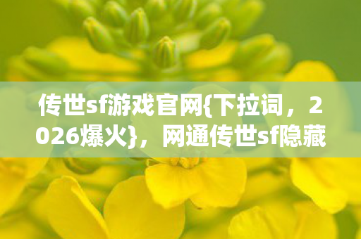 网通传世sf隐藏剧情揭秘图片
