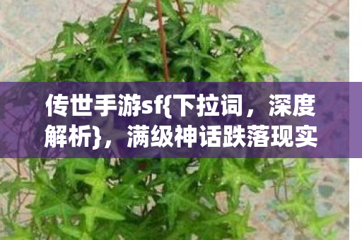 满级神话跌落现实荒原之谜图片