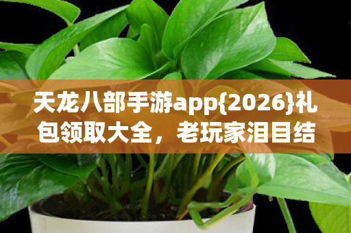 天龙八部手游app图片