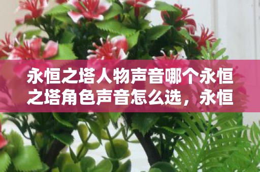 永恒之塔人物声音哪个永恒之塔角色声音怎么选图片