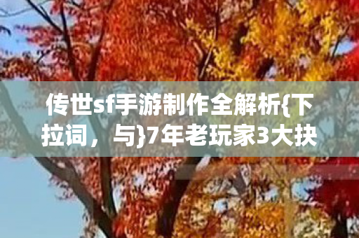 传世sf手游制作全解析图片