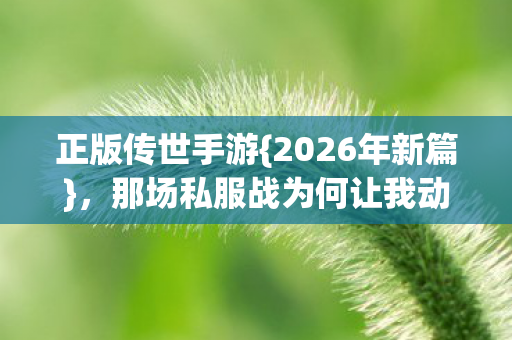 那场私服战为何让我动容图片