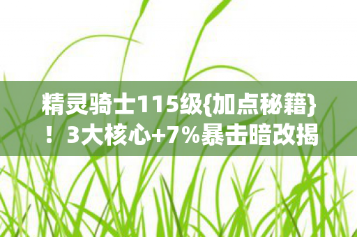 精灵骑士115级{加点秘籍}!3大核心+7%暴击暗改揭秘 精灵骑士115级{加点秘籍}!3大核心+7%暴击暗改揭秘