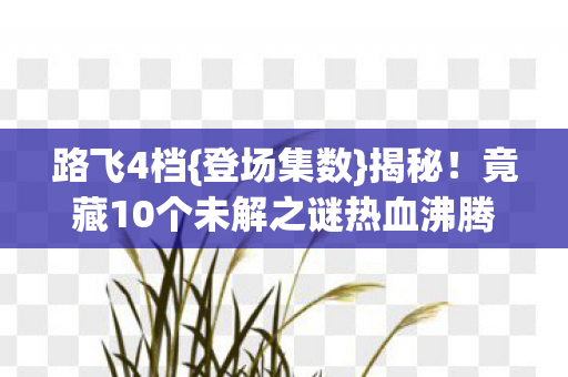 路飞4档{登场集数}揭秘！竟藏10个未解之谜热血沸腾