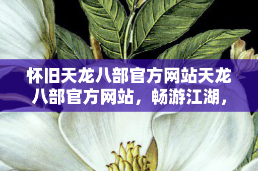 怀旧天龙八部官方网站天龙八部官方网站图片