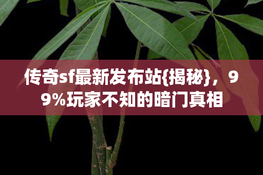 传奇sf最新发布站{揭秘},99%玩家不知的暗门真相 传奇sf最新发布站{揭秘},99%玩家不知的暗门真相