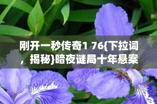 刚开一秒传奇1 76图片