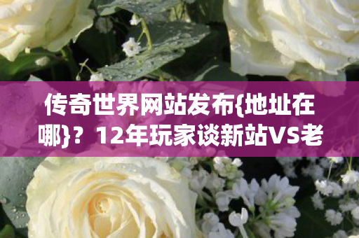 12年玩家谈新站VS老站图片
