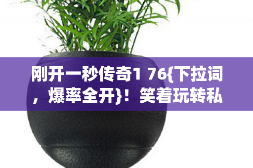 刚开一秒传奇1 76图片