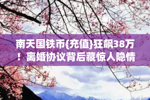 南天国铁币{充值}狂飙38万！离婚协议背后藏惊人隐情