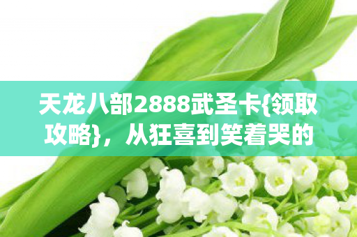 天龙八部2888武圣卡{领取攻略},从狂喜到笑着哭的历程 天龙八部2888武圣卡{领取攻略},从狂喜到笑着哭的历程