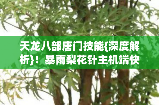天龙八部唐门技能{深度解析}!暴雨梨花针主机端快0.3秒 天龙八部唐门技能{深度解析}!暴雨梨花针主机端快0.3秒