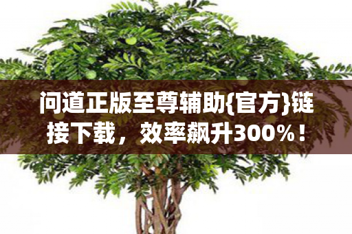 问道正版至尊辅助{官方}链接下载，效率飙升300%！