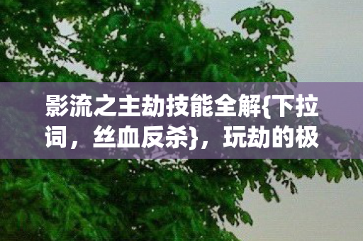 影流之主劫技能全解{下拉词,丝血反杀},玩劫的极致爽感体验 影流之主劫技能全解{下拉词,丝血反杀},玩劫的极致爽感体验