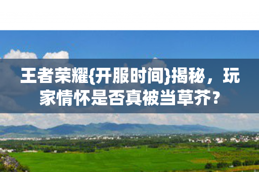 王者荣耀{开服时间}揭秘，玩家情怀是否真被当草芥？
