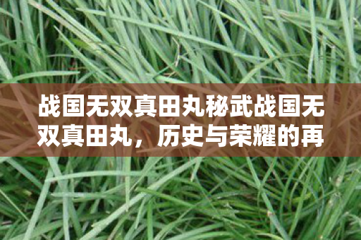 战国无双真田丸秘武战国无双真田丸图片