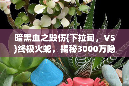 暗黑血之毁伤{下拉词，VS}终极火蛇，揭秘3000万隐情真相