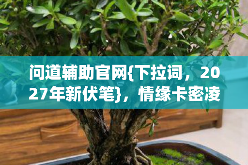 问道辅助官网{下拉词，2027年新伏笔}，情缘卡密凌晨三点谁在等？