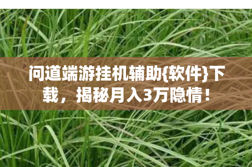 问道端游挂机辅助{软件}下载,揭秘月入3万隐情! 问道端游挂机辅助{软件}下载,揭秘月入3万隐情!