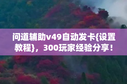 问道辅助v49自动发卡{设置教程},300玩家经验分享! 问道辅助v49自动发卡{设置教程},300玩家经验分享!