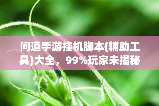问道手游挂机脚本{辅助工具}大全,99%玩家未揭秘! 问道手游挂机脚本{辅助工具}大全,99%玩家未揭秘!