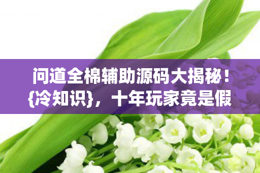 问道全棉辅助源码大揭秘!{冷知识},十年玩家竟是假? 问道全棉辅助源码大揭秘!{冷知识},十年玩家竟是假?