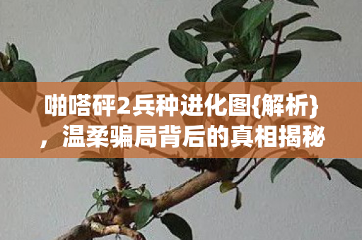 啪嗒砰2兵种进化图{解析},温柔骗局背后的真相揭秘 啪嗒砰2兵种进化图{解析},温柔骗局背后的真相揭秘