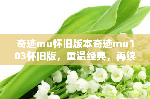 奇迹mu怀旧版本奇迹mu103怀旧版图片